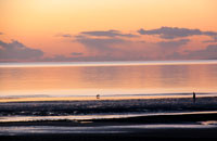 Allonby'