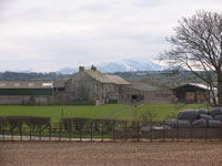Bowscale