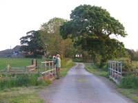 lane